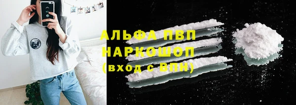ECSTASY Богданович
