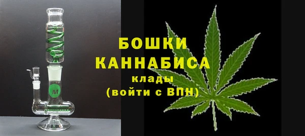 ПСИЛОЦИБИНОВЫЕ ГРИБЫ Михайловск