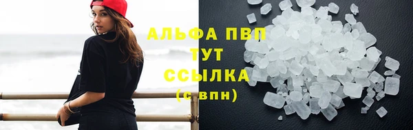 ECSTASY Богданович