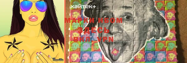 ECSTASY Богданович